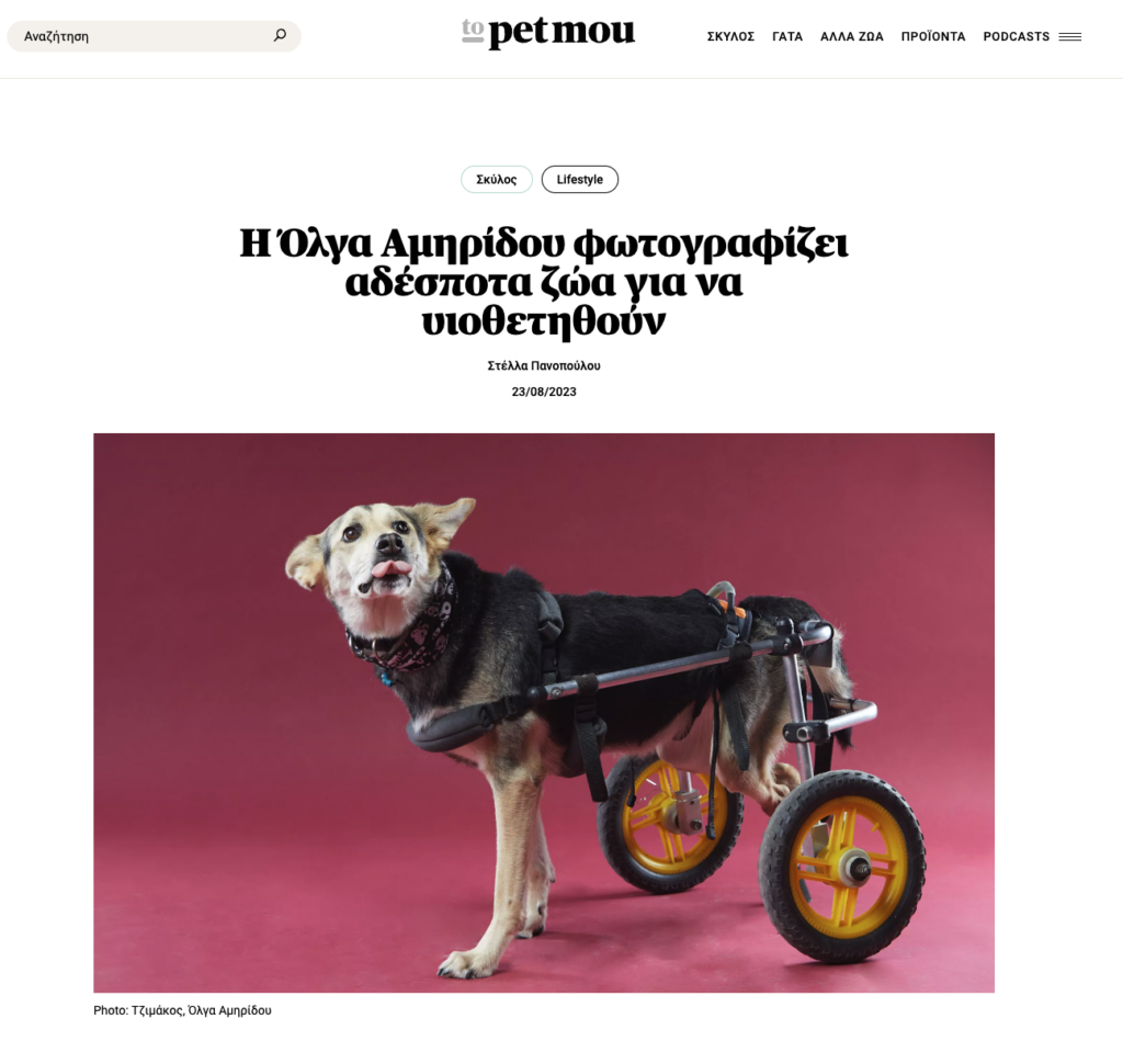 Η Όλγα Αμηρίδου φωτογραφίζει αδέσποτα ζώα για να υιοθετηθούν